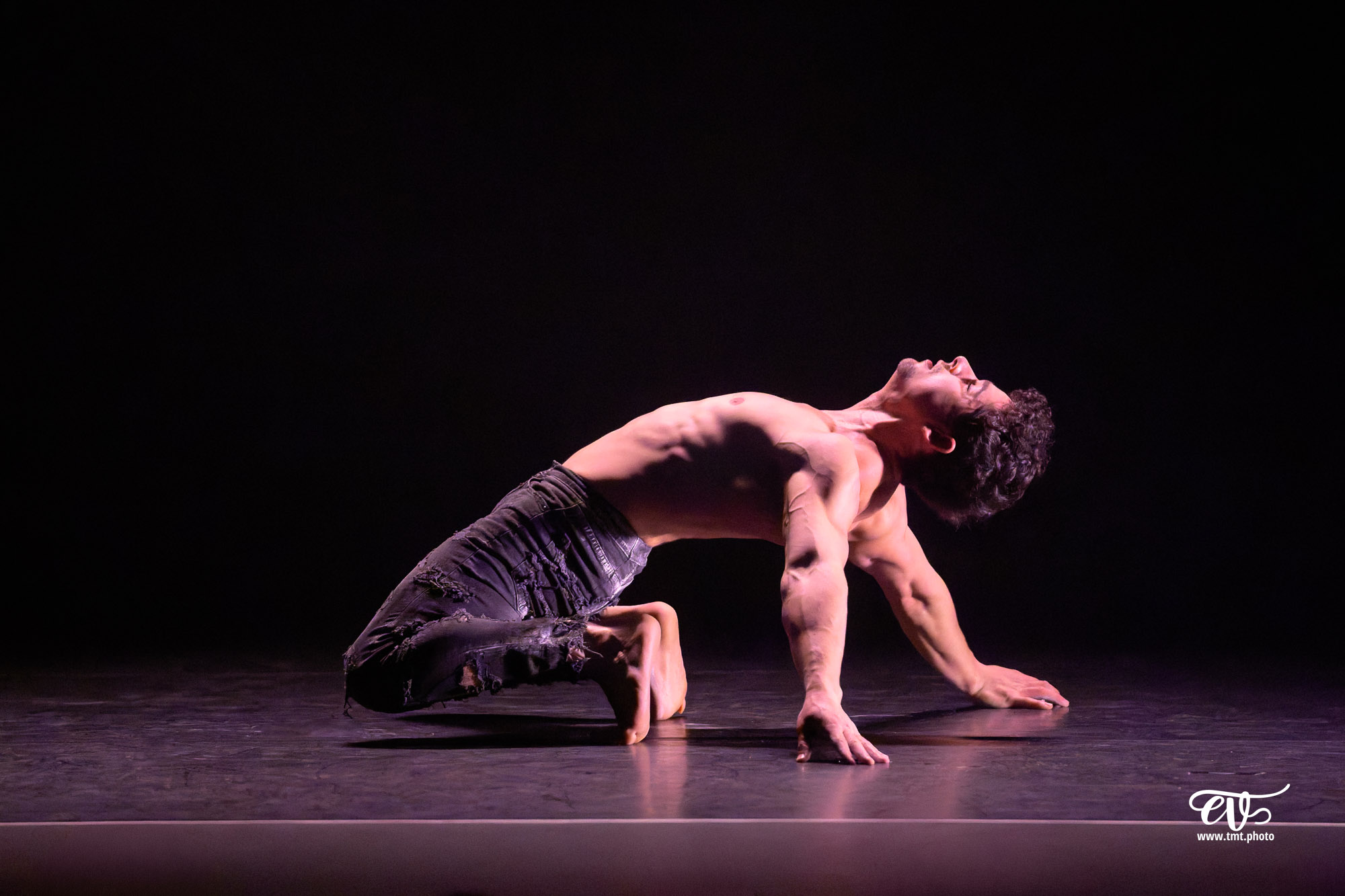 PARADISUM (CIE RECIRQUEL)